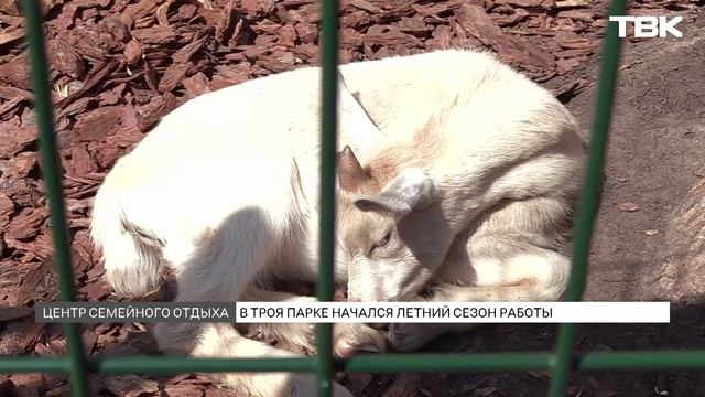 В Красноярске заработал центр семейного отдыха «Троя Парк»