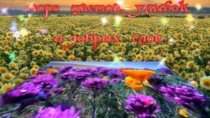 Поздравление С Днем Рождения/The Birthday Greeting - Поздравление С Днем Рождения