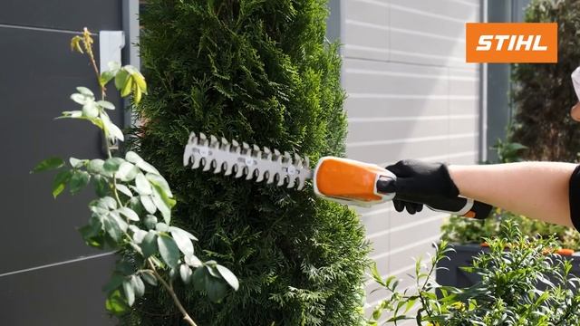 Мастер-класс по кронирующей обрезке туй смотреть онлайн