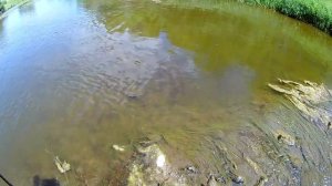 Ловля голавля на воблеры. Что нужно знать...