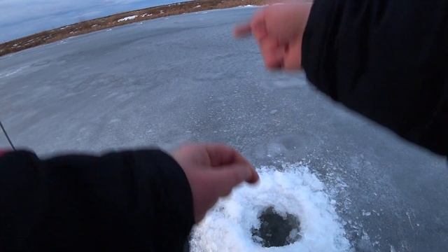 ЖЕРЛИЦЫ. Рыбалка на щуку. Разведка по щучьим местам2022-23 смотреть онлайн