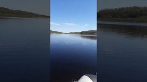 тохатсу 9.8 2 такта