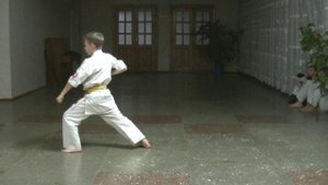 Пособие для начинающих - тайкиоку соно ни