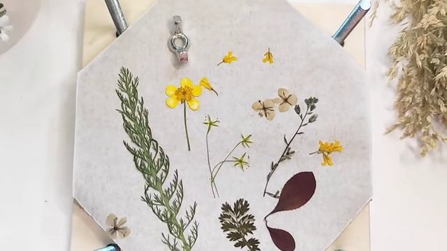 МИНИ ПРЕСС ДЛЯ ГЕРБАРИЯ. ДЛЯ ДЕТСКОГО ТВОРЧЕСТВА. СУШКА ТРАВ ЦВЕТОВ ЛИСТЬЕВ БЕЗ КНИГИ.