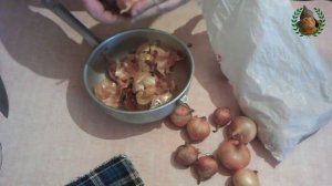Свинина в луковой шелухе Свиной рулет