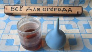 ЧТО ДЕЛАТЬ ,  ЕСЛИ ГЕМОРРОЙ КРОВОТОЧИТ?