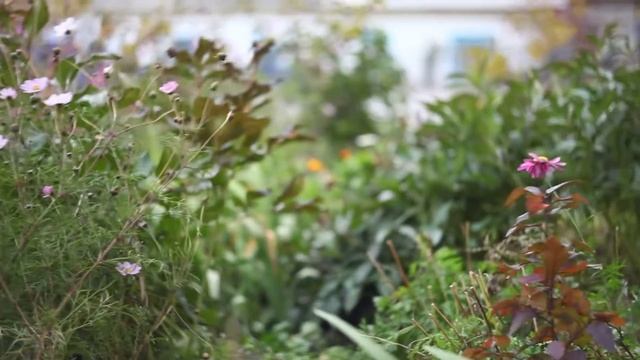 Test russian cinema lens OKS1-75-1 on Canon 5D MarkII camera. смотреть онлайн