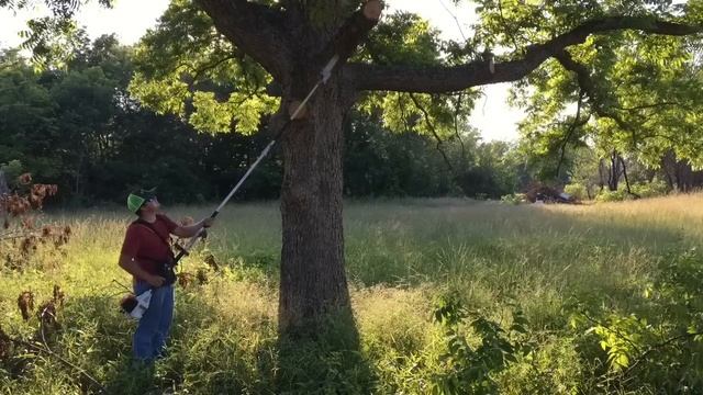 STIHL HT-KM POLE PRUNER WITH 131R KOMBI смотреть онлайн