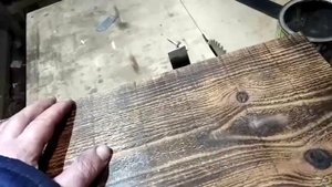 Трясогузочник и мухоловочник.