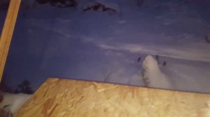 сравнение галогеновых линз