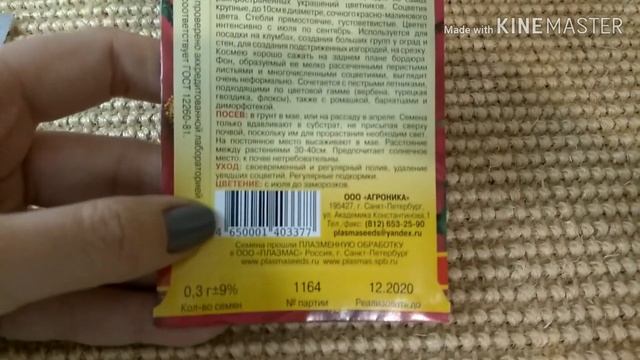 Лучший и самый неприхотливый однолетник! Обзор семян космеи.