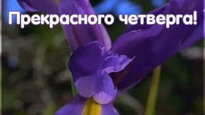 С добрым утром.