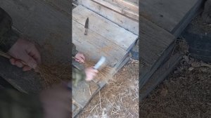 Щётка сметка для пчёл. Бесплатно