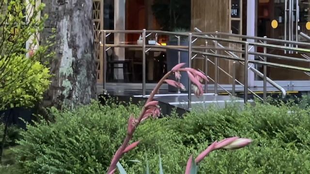 #1.ИЗ КРАСНОДАРА В СОЧИ | ВПЕРВЫЕ В ГОРОДЕ| @Alexsey69