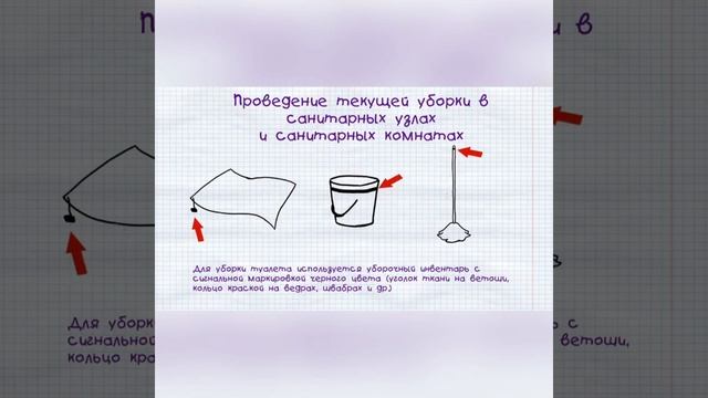 Проведение текущей уборки в санитарных узлах и санитарных комнатах смотреть онлайн