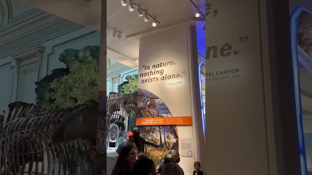 We visited the Smithsonian Museum of natural history