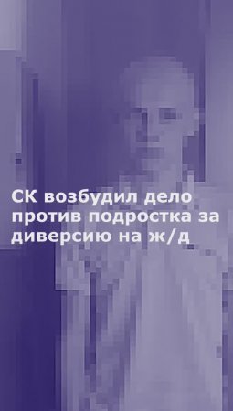 СК возбудил дело против подростка за диверсию на ж/д