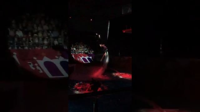 «Невская волна» Сказка о Царе Салтане смотреть онлайн