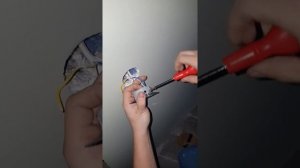 Неработающий выключатель Livolo