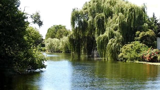 Скорбящей Матери! Христианские Стихи, Ободрение смотреть онлайн