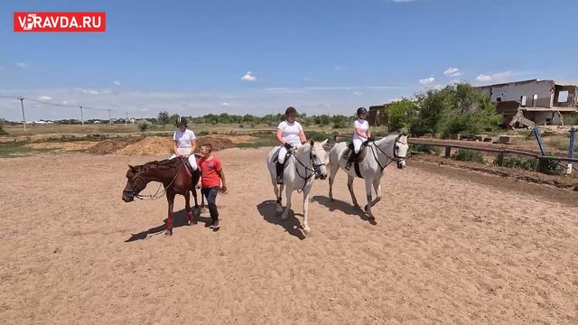 В ВОЛГОГРАДЕ ОПРЕДЕЛИЛИ ЛУЧШИХ В КОННОМ СПОРТЕ смотреть онлайн