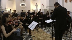 PALLADIO (karl jenkins) orchestra