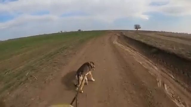 КАК ПРОХОДИТ ВЫХОДНОЙ В ДЕРЕВНЕ смотреть онлайн