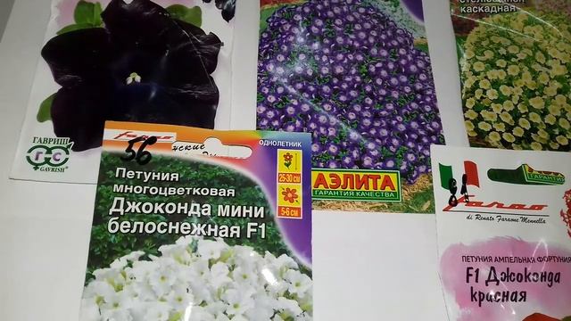 ПЕТУНИЯ ДЖОКОНДА F1.ОДИН ИЗ САМЫХ ЛУЧШИХ СОРТОВ СРЕДИ ПЕТУНИЙ. смотреть онлайн