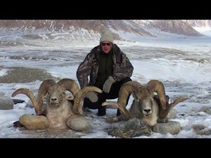 Горная охота на Марко Поло в Таджикистане