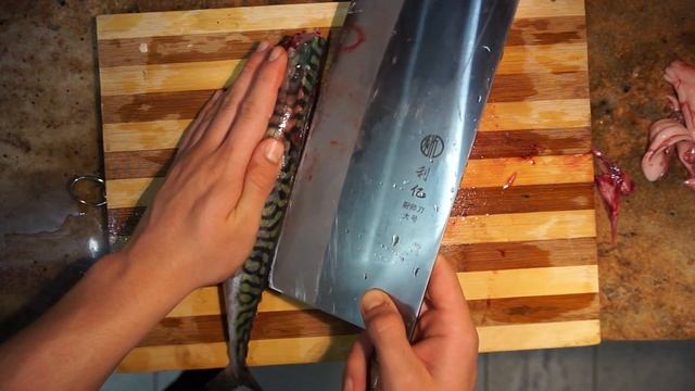 How to fillet a Mackerel by Fishmonger Apprentice. (Scomber scombrus) | The Fishmongers смотреть онлайн
