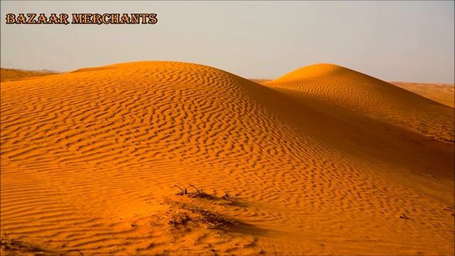 Beautiful Arabian Music & Egyptian Music - Arabian Nights