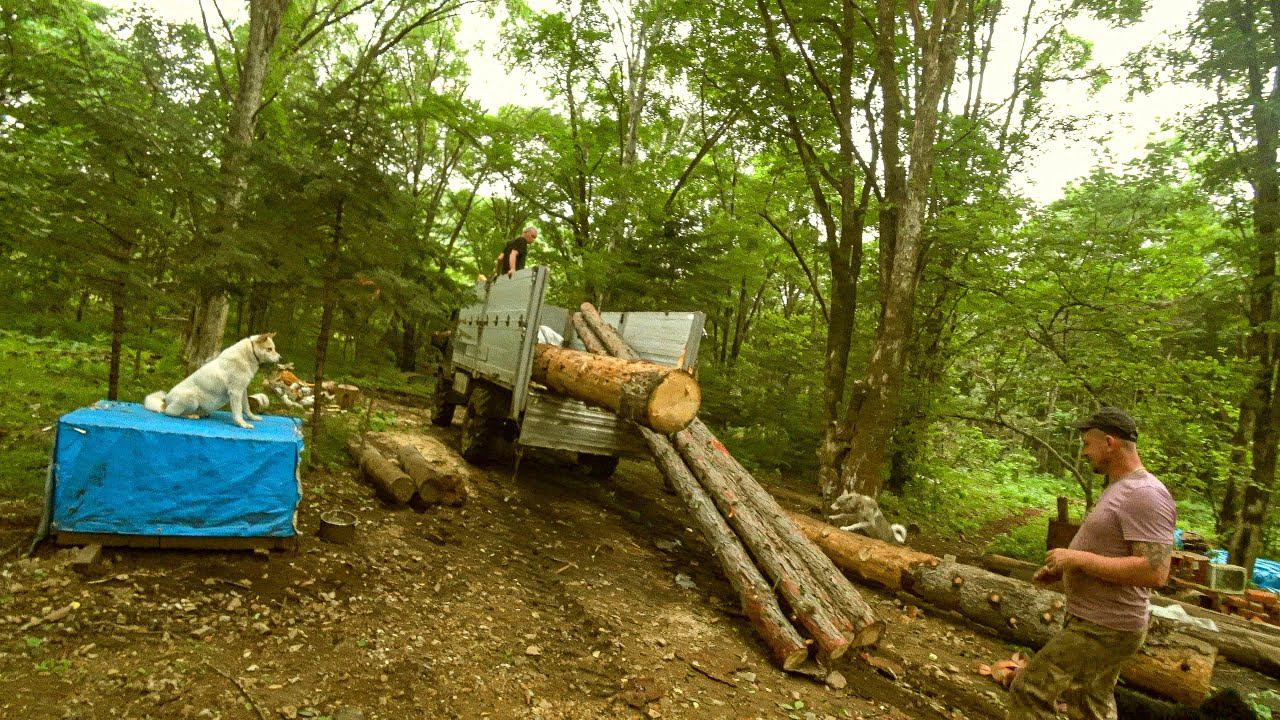 ПЕРЕЛОМКА ЛЕГКО ПРОЕХАЛА ДО УЧАСТКА. Привезли бревна для строительства зимовья. смотреть онлайн
