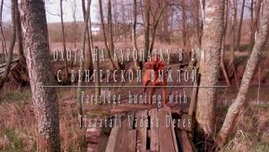 Охота на куропатку с венгерской выжлой в 2019 г.Partridge hunting with Magyar vizsla TVDeres