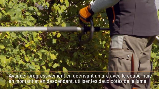 Coupe verticale avec la barre de coupe en pleine extension - Taille-haie sur perche thermique STIHL смотреть онлайн