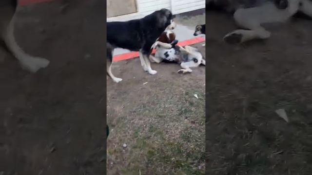 И зачем нужны такие дети?)) смотреть онлайн