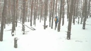 "БЕЛЫМ СНЕГОМ", песня в исполнении Алисы Игнатьевой.