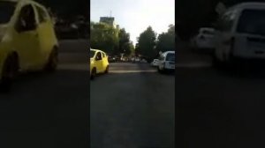 Узбекистан город Фергана Киргили пеликаны