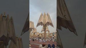 Как складываются зонтики в Медине.мечеть пророка Мухаммада (с.а.у)