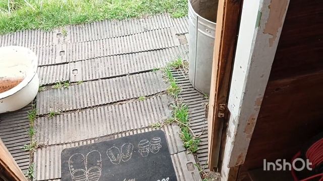 Остались без шланга/Кто сожрал тюльпаны❓Посадили картошку/Дачный отдых?К вечеру похолодало. смотреть онлайн