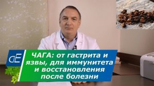 ЧАГА от ГАСТРИТА и язвы желудка ?, для ИММУНИТЕТА и восстановления после болезни.