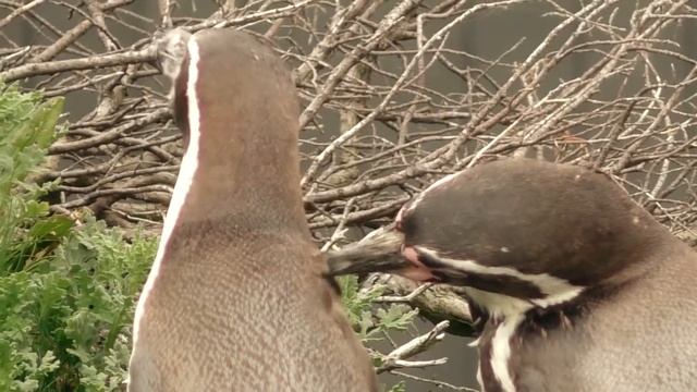 Путешествие в Норвегию. Episode 16. Alesund - Trollstigen смотреть онлайн