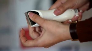 Как поменять керамическое лезвие на машинке для стрижки шерсти Codos CP-3800