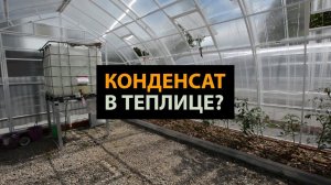 Конденсат в теплице: Как с ним бороться. ЗАВОД ГОТОВЫХ ТЕПЛИЦ