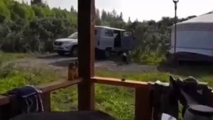 Хороший друг