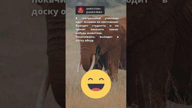 Анекдот про студентов