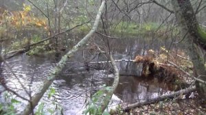 Костромской шлюз Тихвинской водной системы на реке Соминка. Деревни Подбережье больше нет. Жаль...