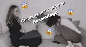 Секреты о фламинго?