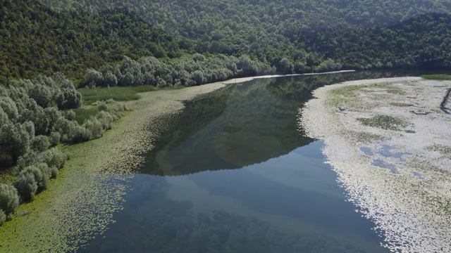 Дорога вдоль Реки Црноевича