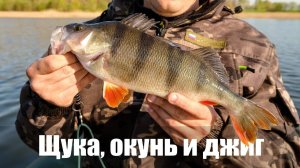 Как мы искали щуку на большой глубине, а нашли еще и окуня