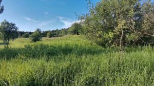 Кузьмоловский карьер. Лайт маршрут на 10 км (2 - 3 часа) по живописным местам.